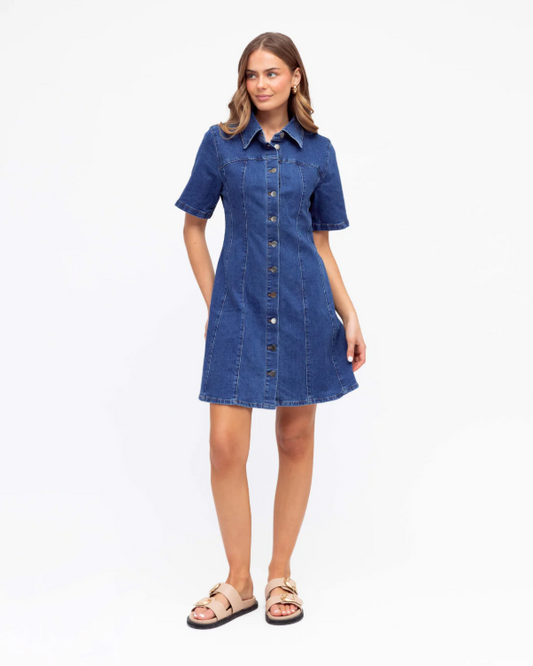 Paeton Stretched Denim Dress